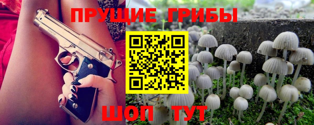 Галлюциногенные грибы прущие грибы Воркута
