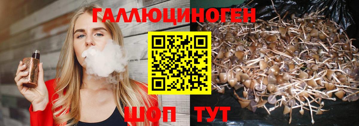 Галлюциногенные грибы Psilocybine cubensis  купить наркотики сайты  Воркута  Вход с VPN 
